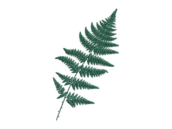 Fern Leaf Botanical Embroidery Review for Handmade Gifts
